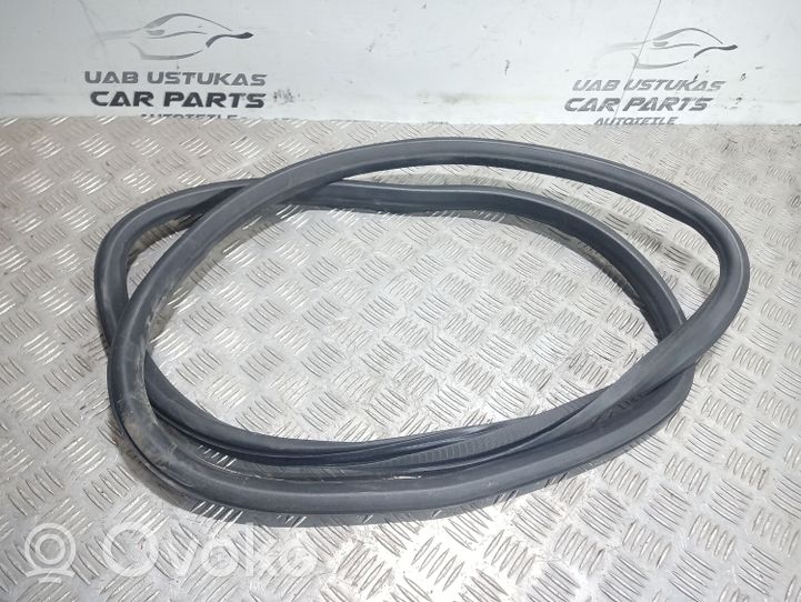 Opel Insignia A Rear door rubber seal (on body) 