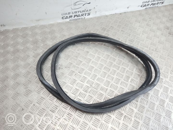 Audi A6 S6 C6 4F Front door rubber seal 