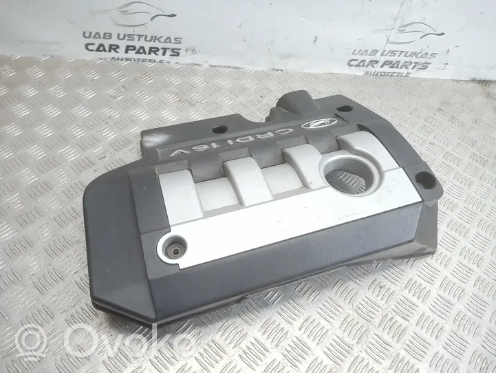 Hyundai Trajet Engine cover (trim) 