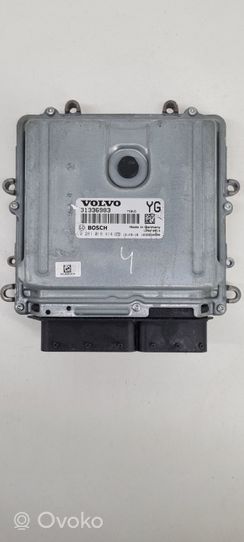 Volvo V60 Centralina/modulo del motore 31336983