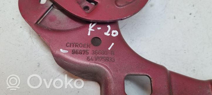 Citroen C4 II Konepellin saranat 9687536680