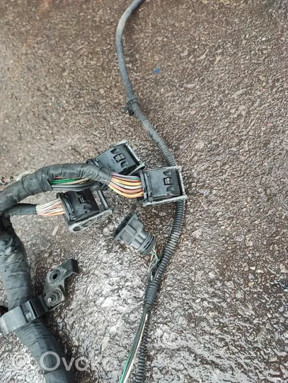 Renault Scenic I Other wiring loom 