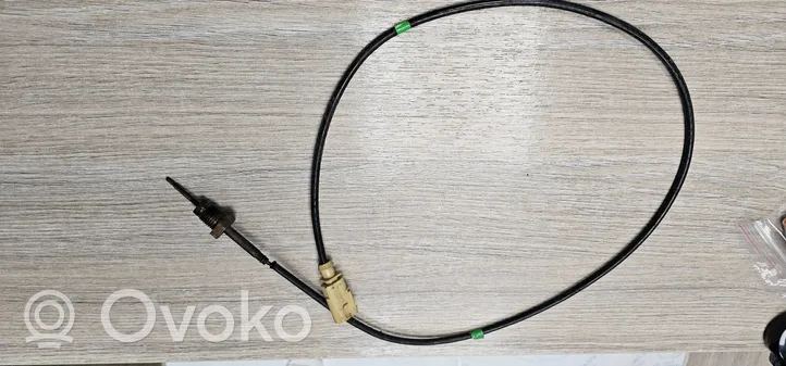 Volkswagen Transporter - Caravelle T6 Exhaust gas temperature sensor 8k0973802c