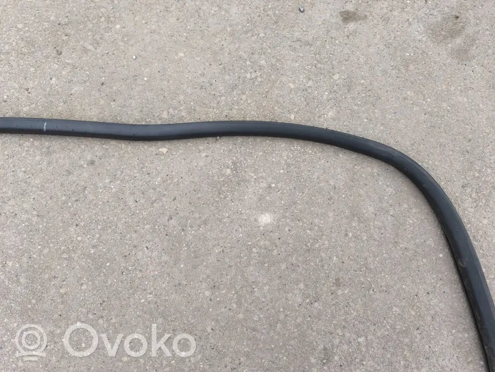 Volkswagen Multivan T5 Front door rubber seal 