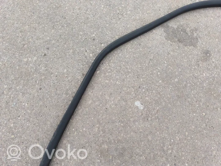 Volkswagen Multivan T5 Front door rubber seal 