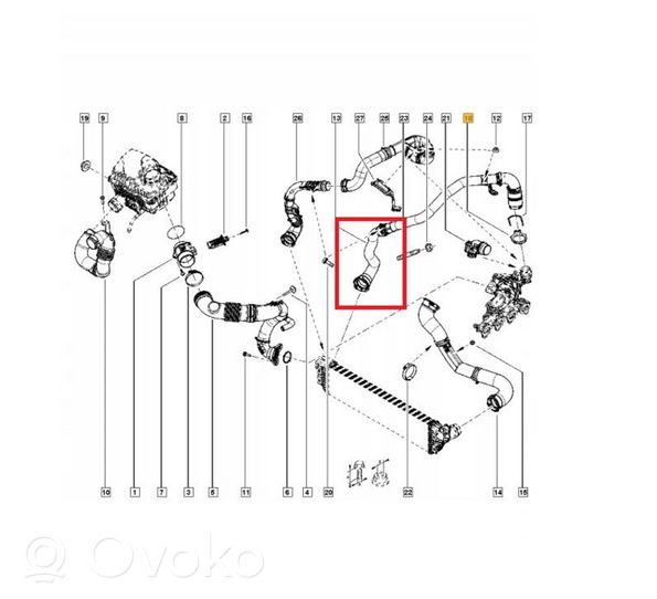 Renault Master III Välijäähdyttimen letku 144602717R