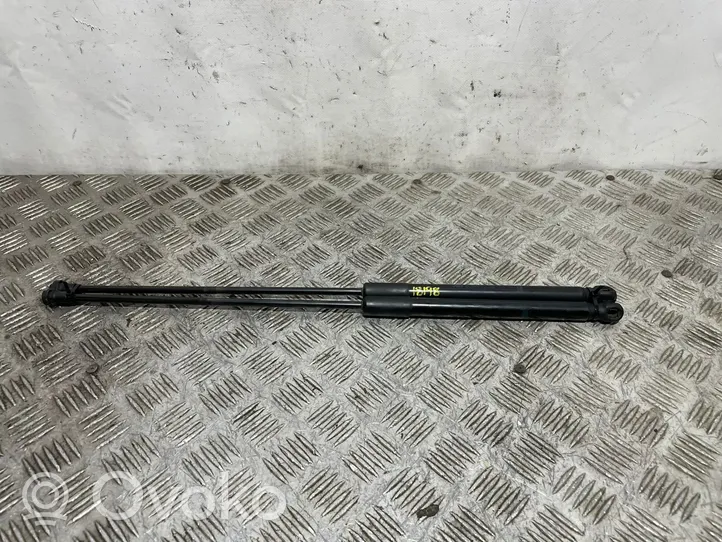 Citroen C4 I Vérin de capot arrière 9647295480