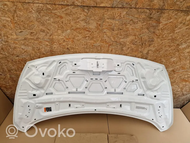 Ford Transit -  Tourneo Connect Engine bonnet/hood 