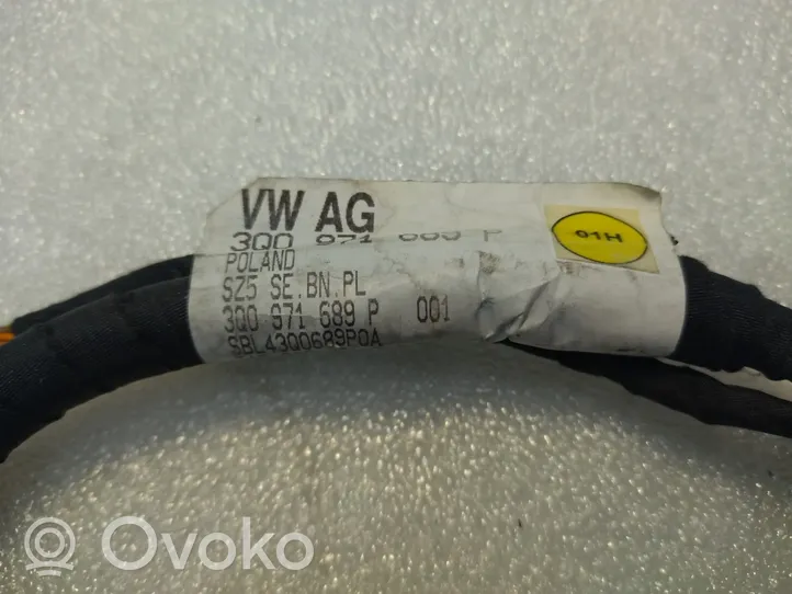 Volkswagen PASSAT B8 Kabel wysokiego napięcia 3Q0971689P