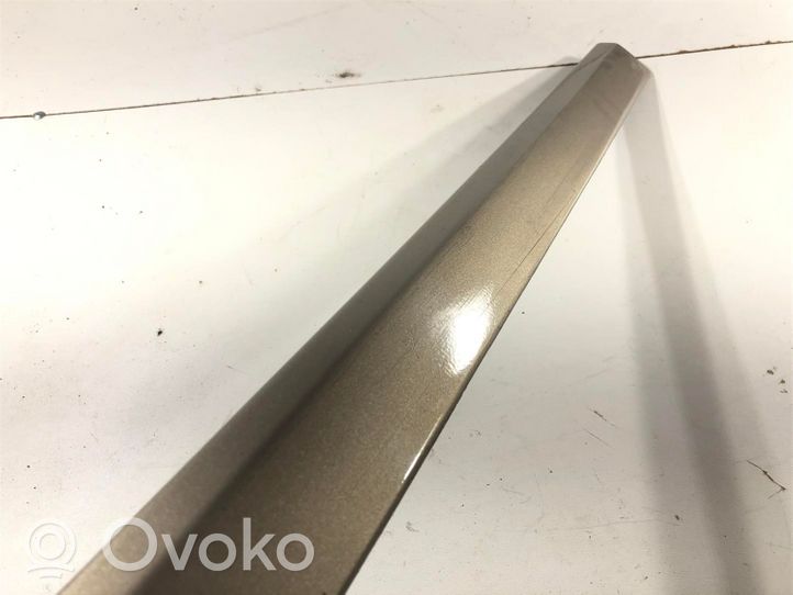 Volvo S60 Front door trim (molding) 