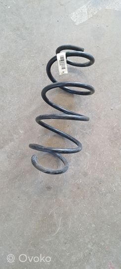BMW X3 F25 Front coil spring 6787137