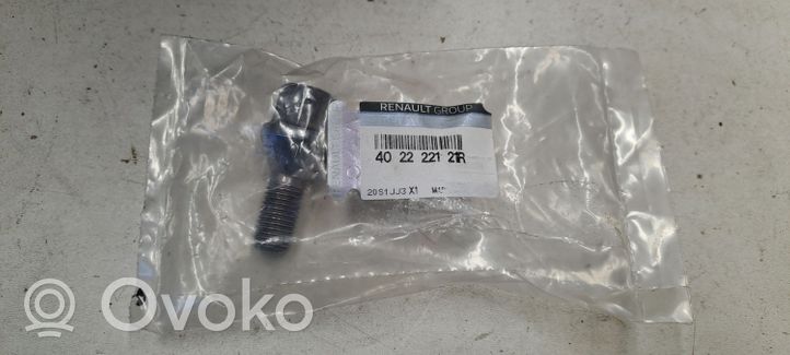 Renault Megane III Nuts/bolts 402222121R