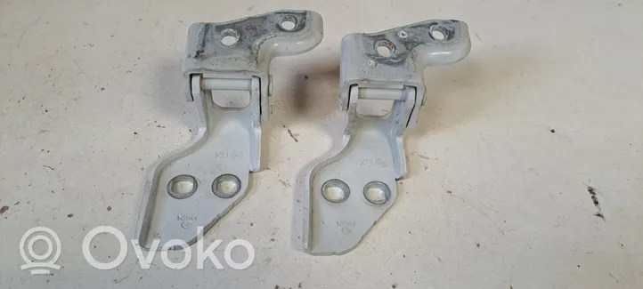 Fiat Ducato Front door hinge set 