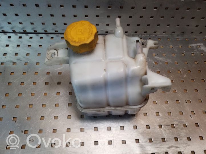 Opel Antara Depósito del refrigerante 96837836