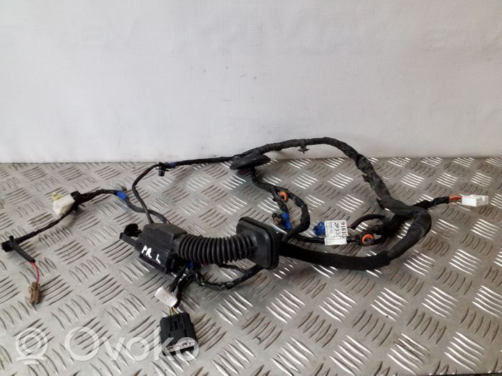 KIA Sorento Cablaggio porta anteriore 916102P330