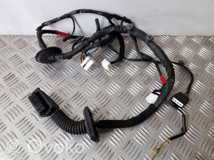 KIA Sorento Cablaggio porta anteriore 916002P330