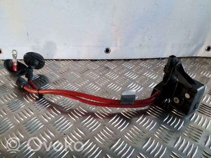 BMW X3 E83 Cavo positivo (batteria) 6910542