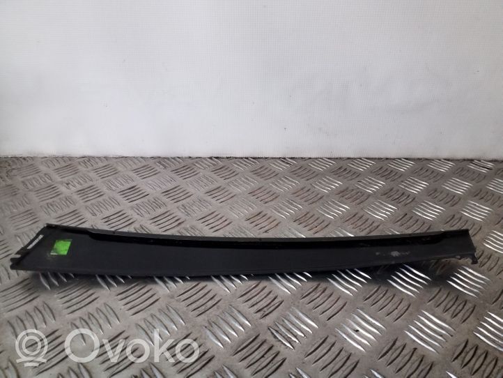 Ford Focus Other front door trim element 