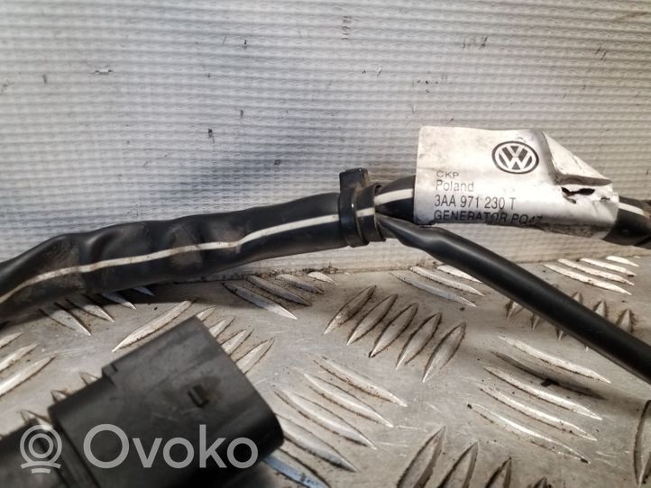 Volkswagen PASSAT CC Cablaggi (generatore/alternatore) 3AA971230T