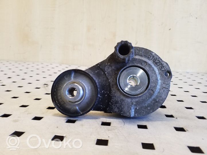 Opel Antara Napinacz paska wielorowkowego / Alternatora 25182787