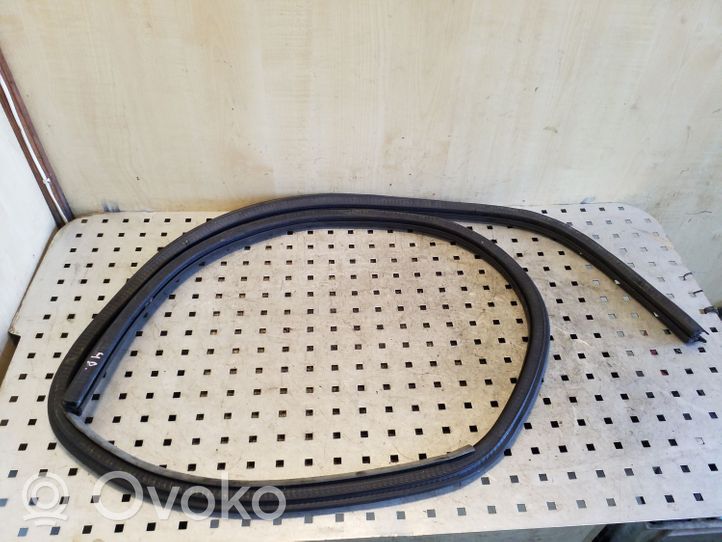 Audi A3 S3 8P Rear door rubber seal (on body) 