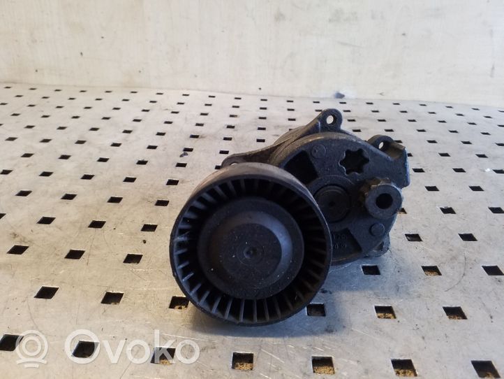 Mercedes-Benz ML W163 Tendicinghia generatore/alternatore A6112000370