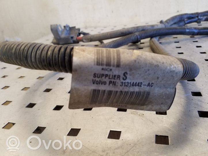 Volvo V40 Cross country Câble de batterie positif 31314442AC