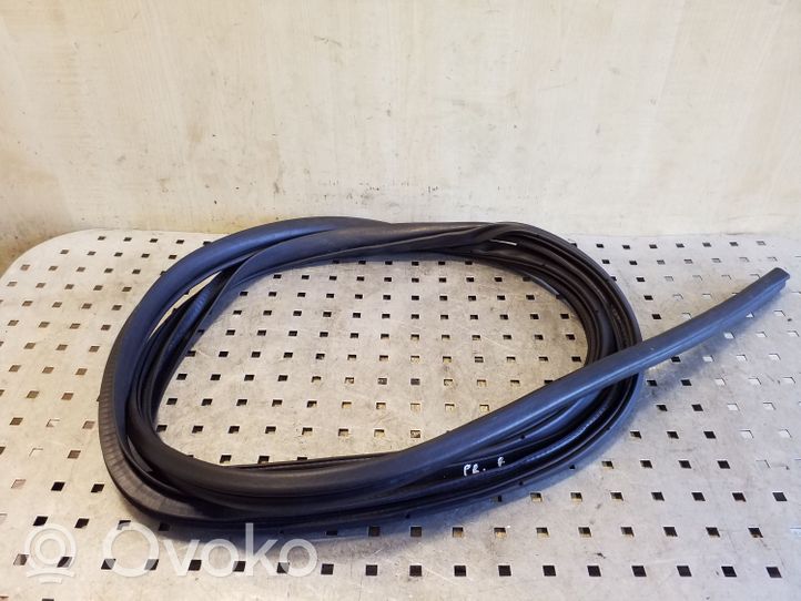 Mitsubishi Outlander Front door rubber seal 