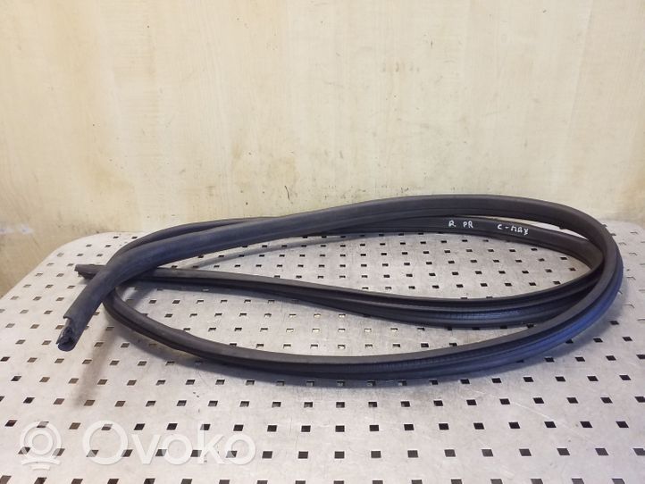 Ford Focus C-MAX Front door rubber seal 