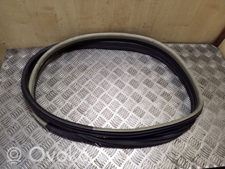 Opel Astra H Front door rubber seal 13170852