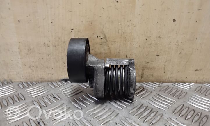 Volkswagen Polo IV 9N3 Generator/alternator belt tensioner 038903315