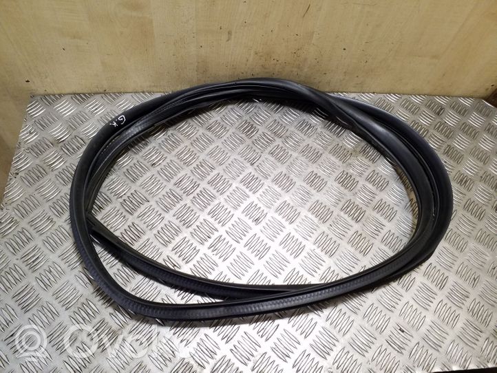 Mitsubishi Outlander Rear door rubber seal (on body) 