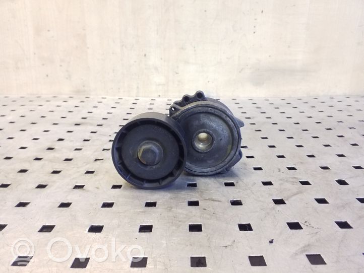 Land Rover Freelander 2 - LR2 Napinacz paska alternatora 16183P