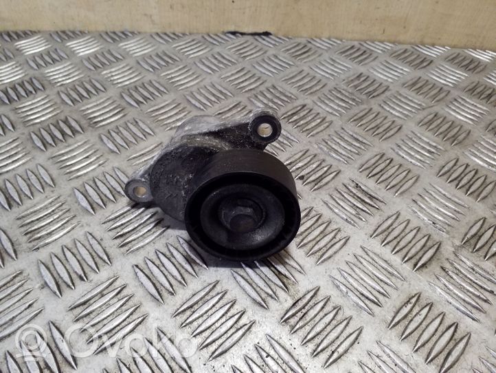 Citroen DS4 Napinacz paska alternatora 9801875280