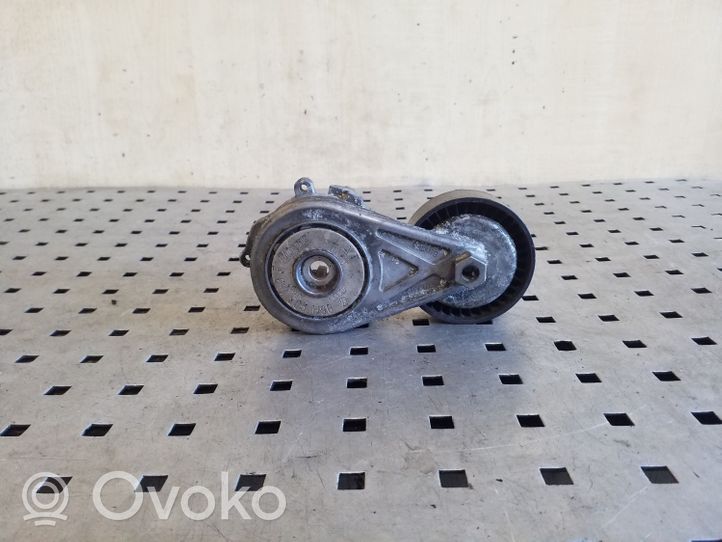 Audi Q5 SQ5 Tendicinghia generatore/alternatore 06H903133F