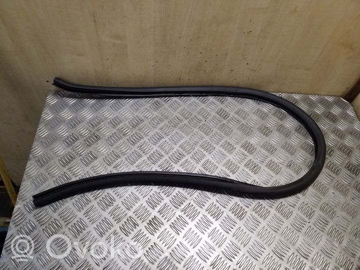 Volkswagen PASSAT CC Front door rubber seal 3C8867911