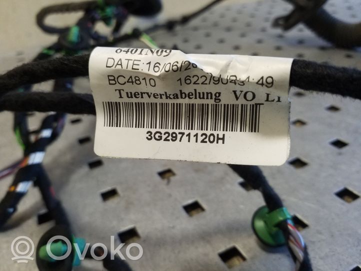 Volkswagen PASSAT B8 Cableado de puerta delantera 3G2971120H