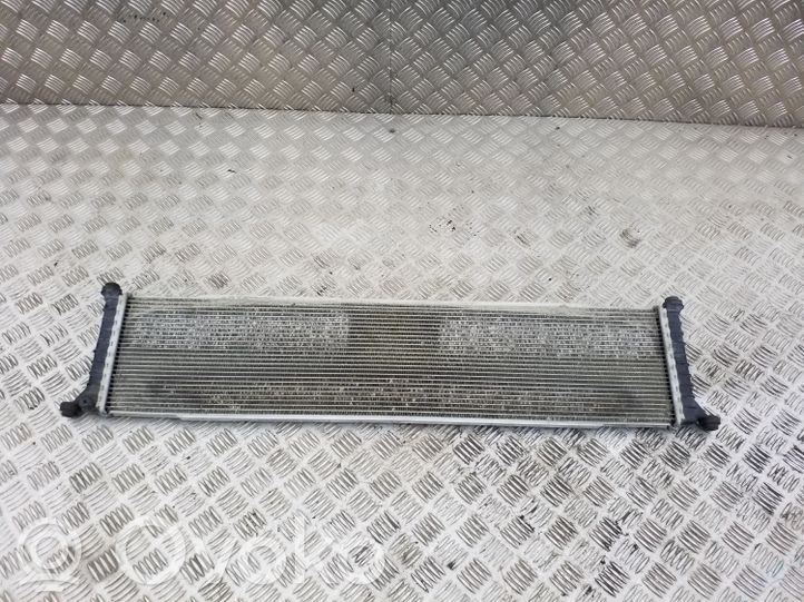 600737200A Tesla Model S Electric car engine cooler, 100.00 € RRR