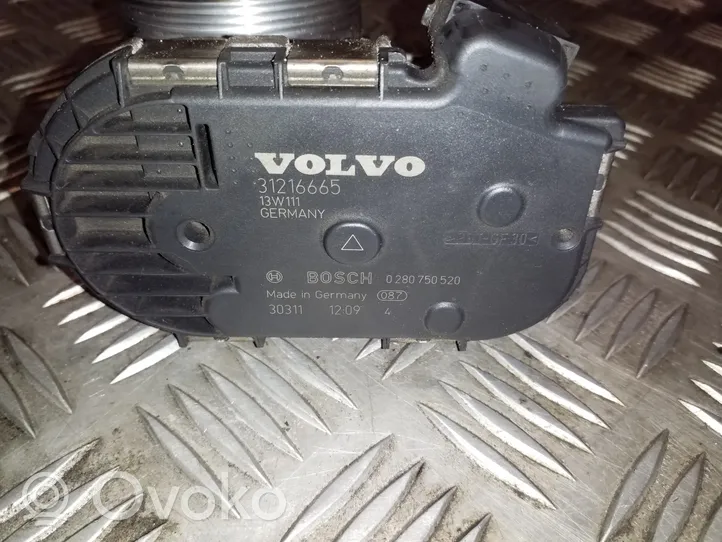 Volvo V40 Valvola a farfalla 31216665