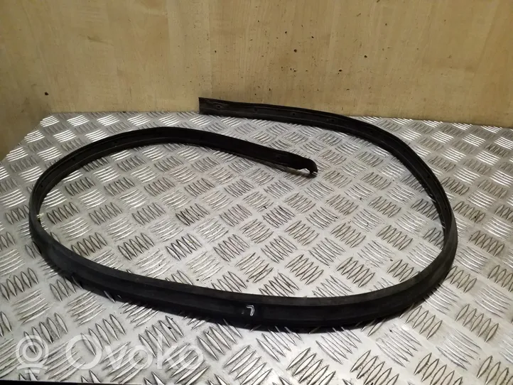 Volkswagen Touareg II Front door rubber seal 