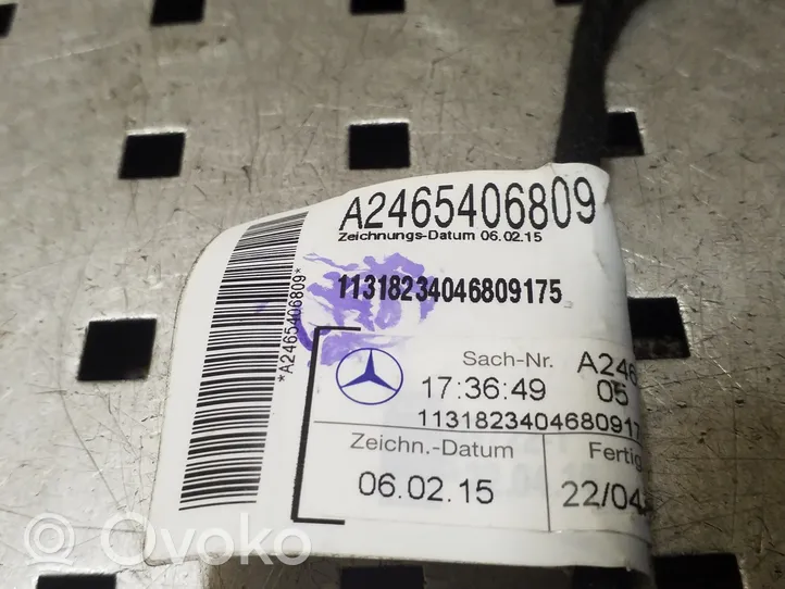 Mercedes-Benz B W246 W242 Wiązka przewodów drzwi tylnych A2465406809