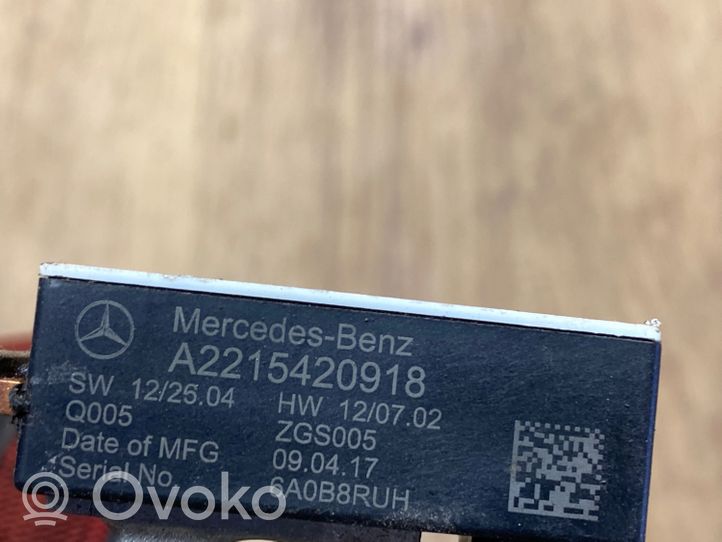 Mercedes-Benz S W222 Maakaapeli, akku A2215420918