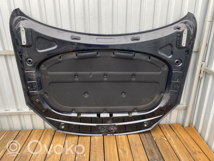 Volkswagen Touareg II Engine bonnet/hood 7P6823155C