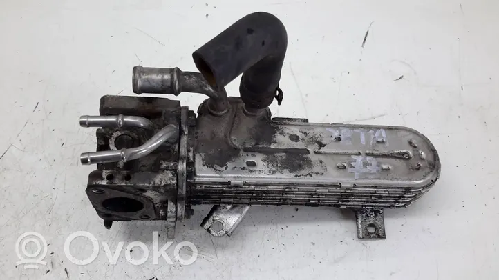 Volkswagen Jetta V EGR valve cooler 038131513AD