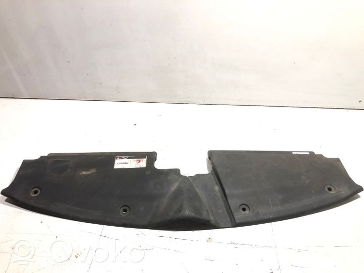 Citroen C4 Grand Picasso Radiator trim 9654195380