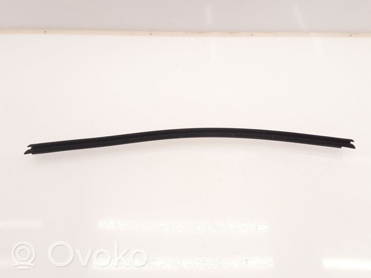 Renault Koleos II Rubber seal rear door window/glass 171130TH