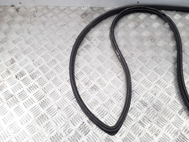 Honda CR-Z Front door rubber seal 