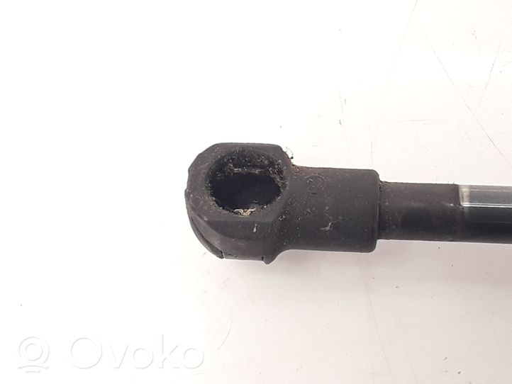 Audi Q3 8U Ammortizzatore portellone posteriore/bagagliaio 8E9827552