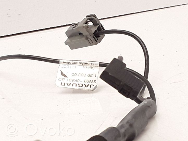 Jaguar XJ X350 Radio antena 2W9318K891BD