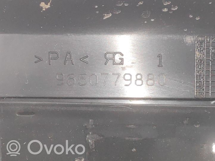 Peugeot 607 Boîte à fusibles 9650779880